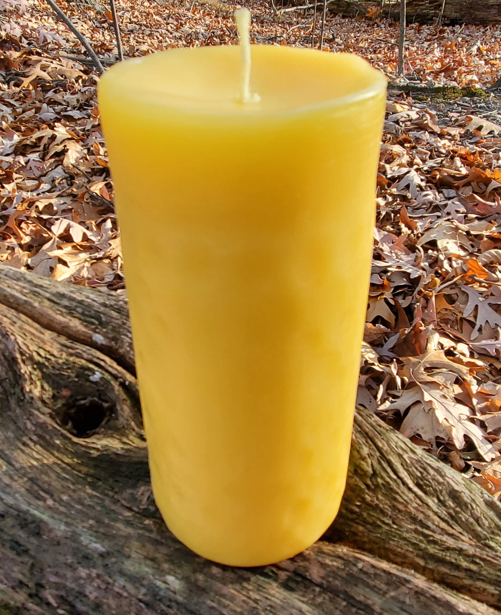2.3" W beeswax pillar 5" Tall, 50 Hours